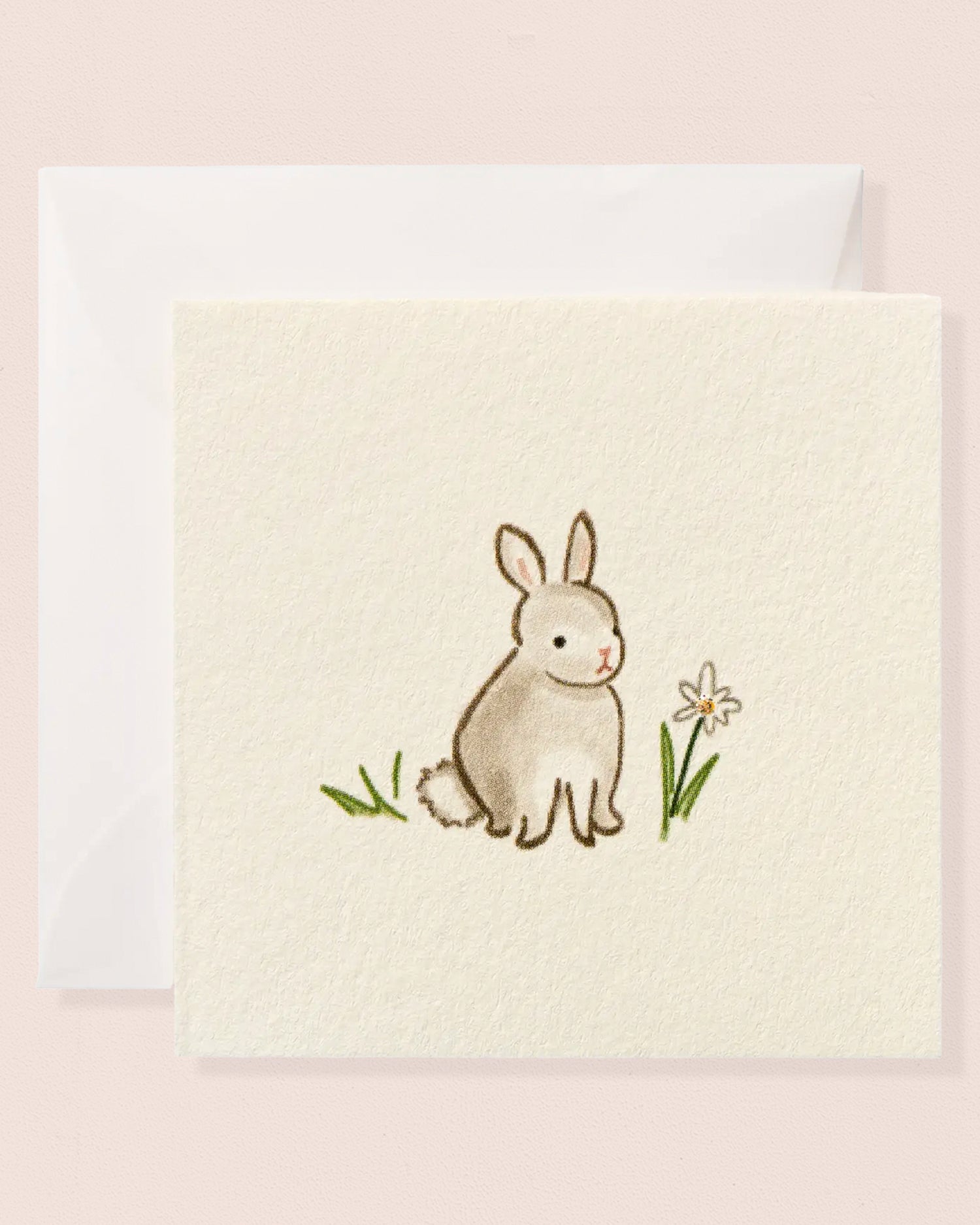 Enclosure Card Bunny